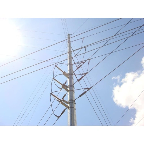 Galvanized 30M High Pole
